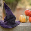 Witch or Wizard Velvet Pointy Hat