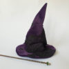 Witch or Wizard Velvet Pointy Hat