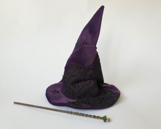 Witch or Wizard Velvet Pointy Hat