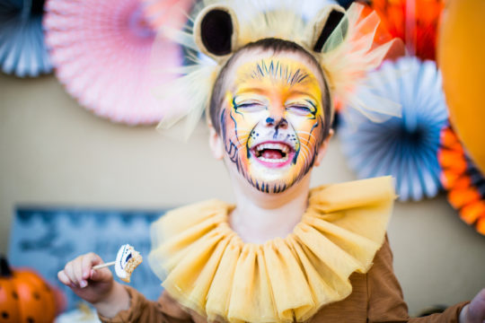 Lion Costume Tulle Collar