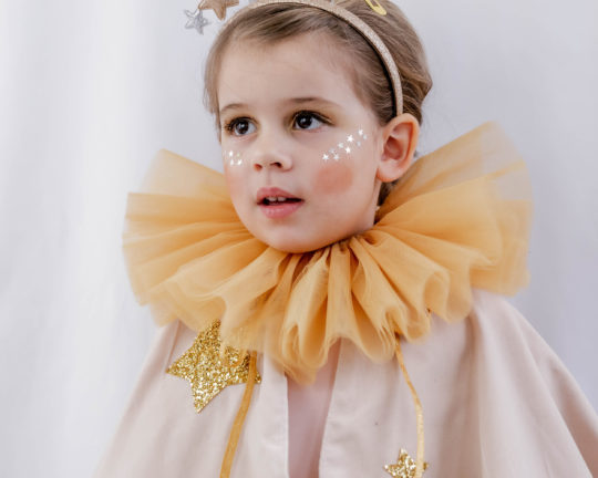 Lion Costume Tulle Collar