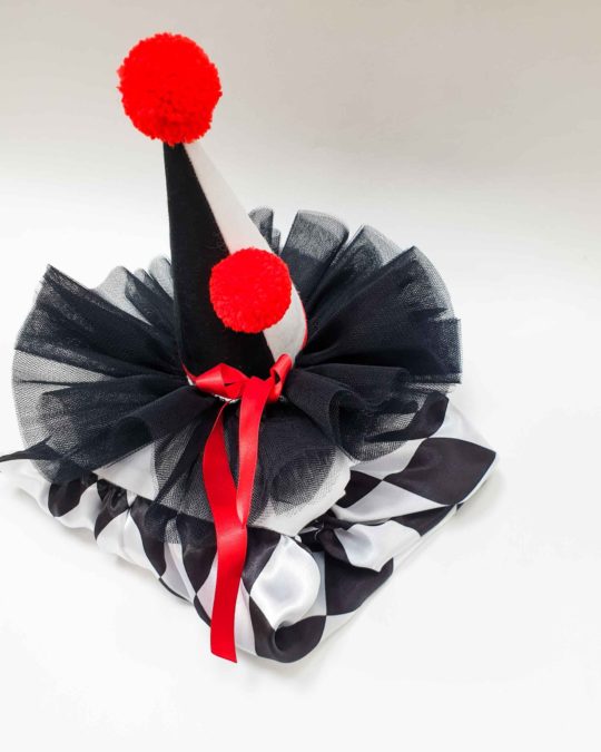 Harlequin HAT and TULLE COLLAR